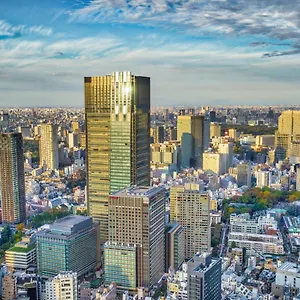 Hotel The Ritz-carlton, Tokyo